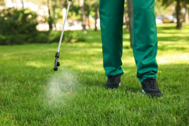 Best Emergency Pest Control  in Scandia, MN