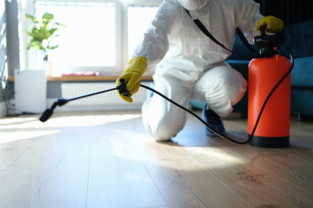 Professional Pest Control in Scandia, MN