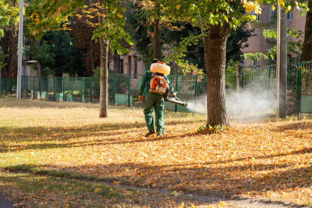 Pest Control Cost in Scandia, MN
