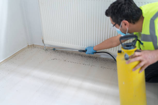 Best Affordable Pest Control Services  in Scandia, MN